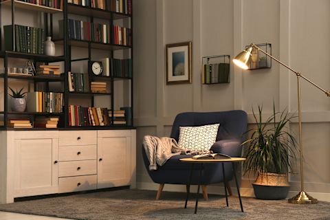 bookshelves-in-living-room