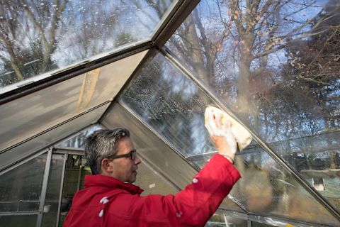 man-washes-greenhouse-interior