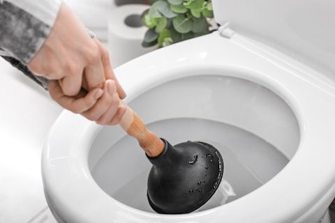 clogged toilet