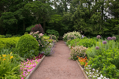A path in a garden filled with beautiful flowers and green trees.