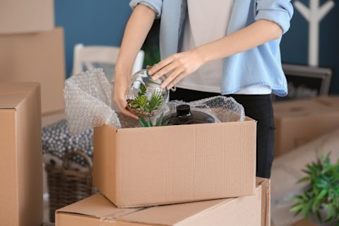 moving boxes