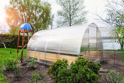wooden-base-greenhouse