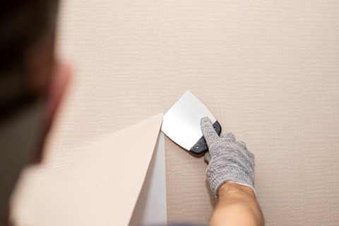 This image shows a piece of wallpaper on a wall.