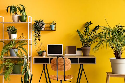yellow-home-office