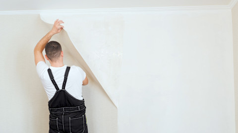 A professional is updating the wallpaper in a home.