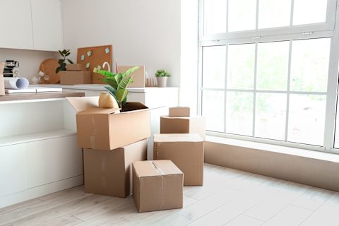 moving boxes