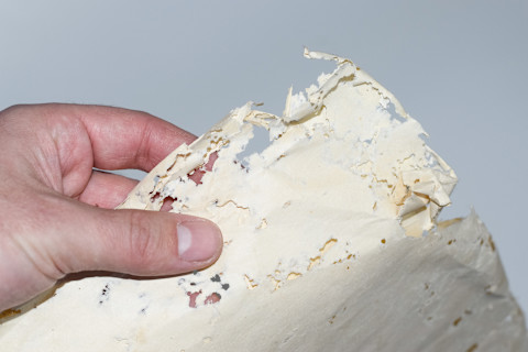 Holes in book pages show evidence of a silverfish infestation