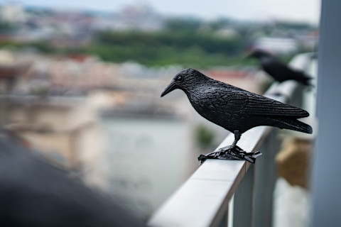 Decoy predator on a railing to deter pigeons.