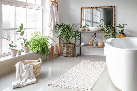 bathroom-with-potted-plants