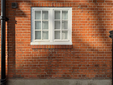 White double-hung windows are installed close to the ground. The windows have a clean and modern appearance.