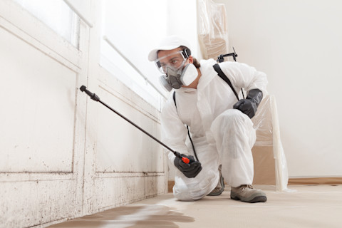 Man in white clothes checking mold in a garage door