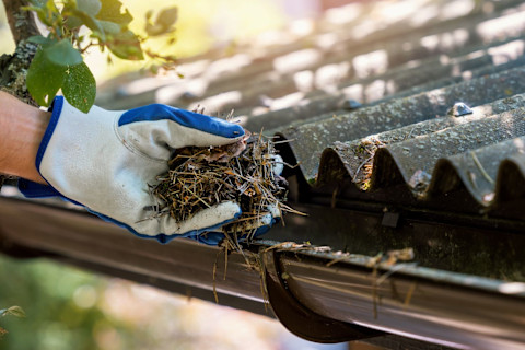 Hand removing dirt from the gutter