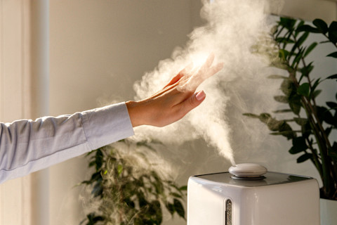 Air purifier vs humidifier 3