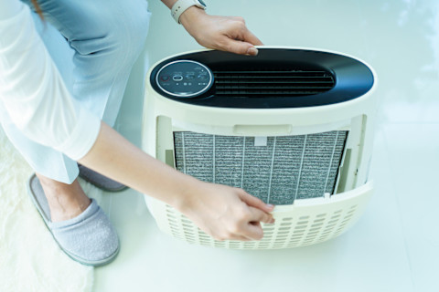 Air purifier vs humidifier 2