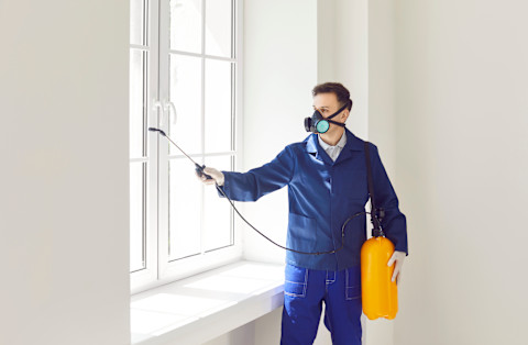 A man sprays insecticide as part of pest control service. Protective gloves and mask are worn.