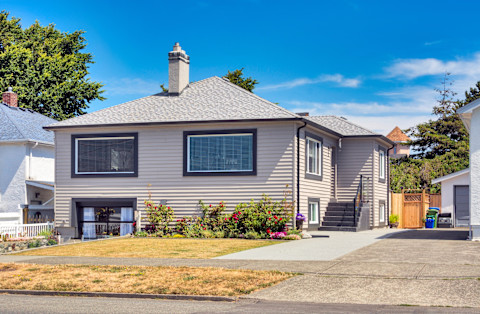 chimeny on canadian home