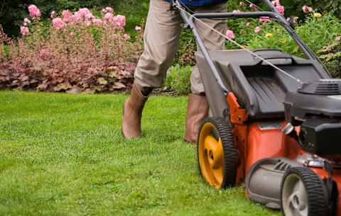 This image shows a person wearing work boots pushing a large red and black lawn mower over green grass with a flowering shrub in the background.